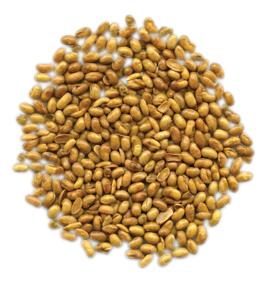 Organic Roasted Soynuts - No Salt - SunRidge Farms