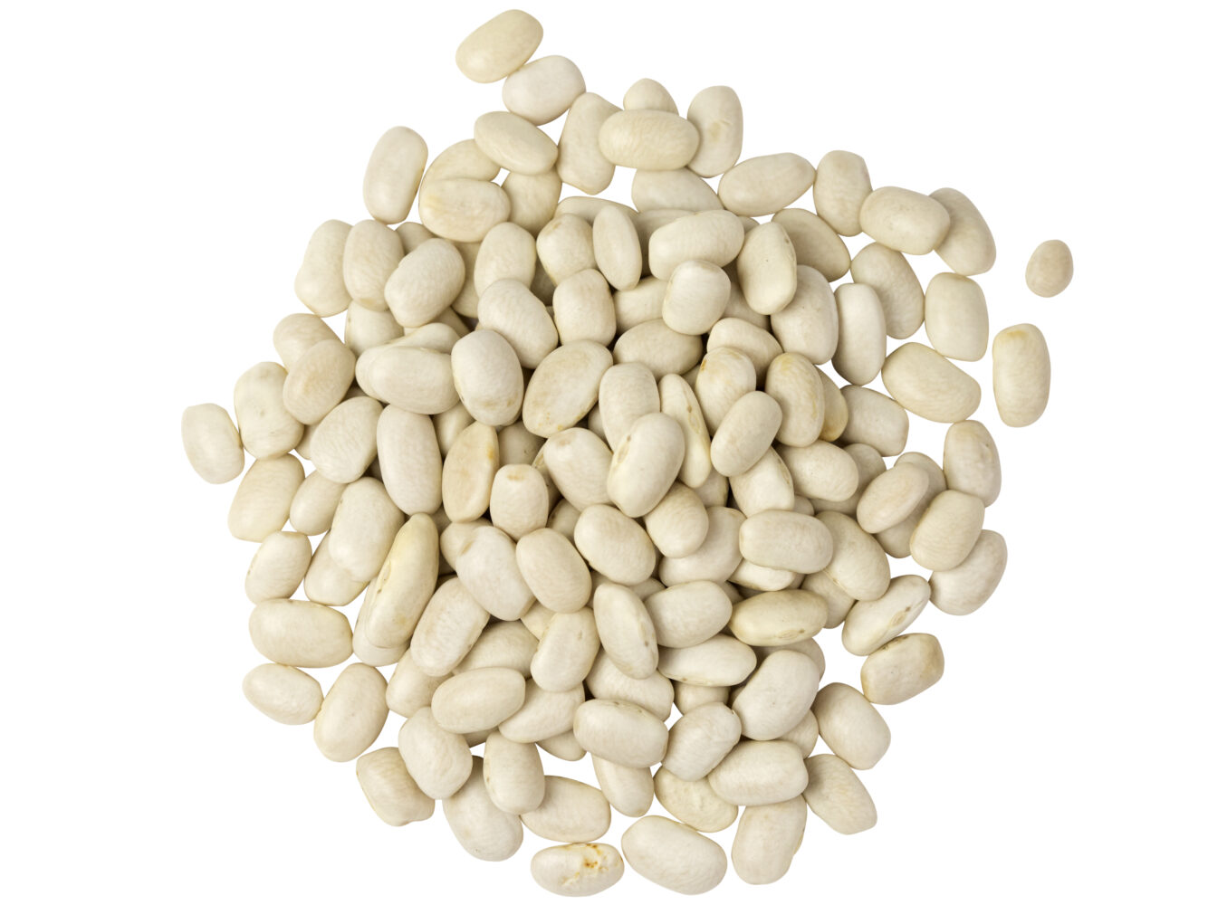 Organic Cannelini Beans SunRidge Farms