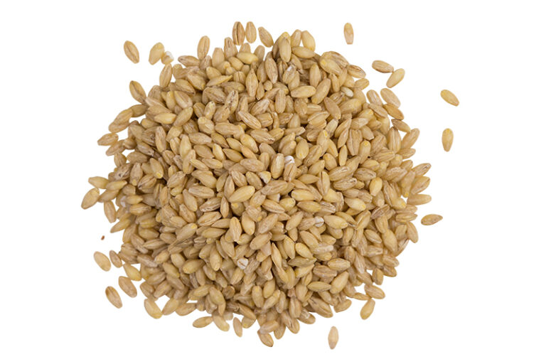Hulled Organic Barley SunRidge Farms