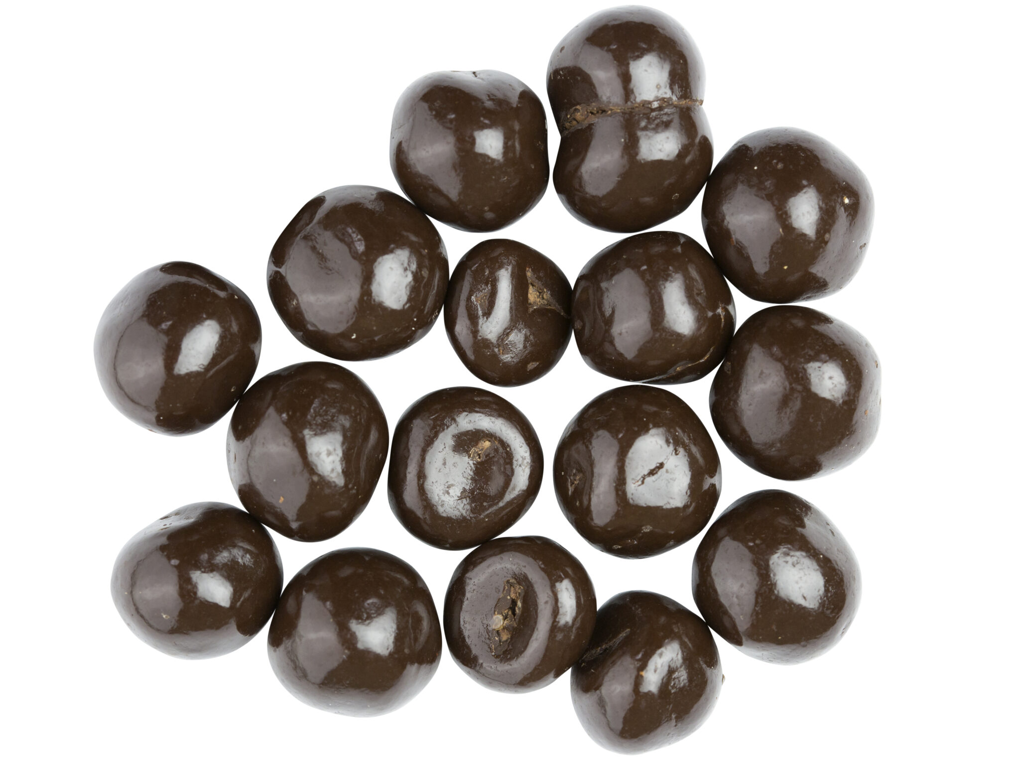 Dark Chocolate Hazelnuts SunRidge Farms
