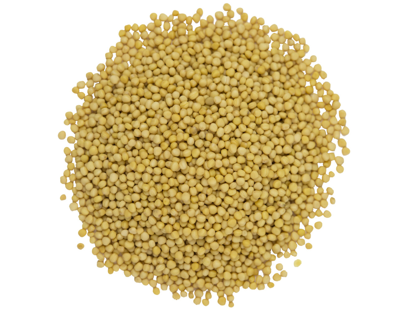 Organic Whole Yellow Mustard Seed - SunRidge Farms