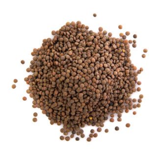 Organic Spanish Pardina Lentils, Brown