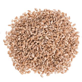 Organic Hard Red Wheat Berries